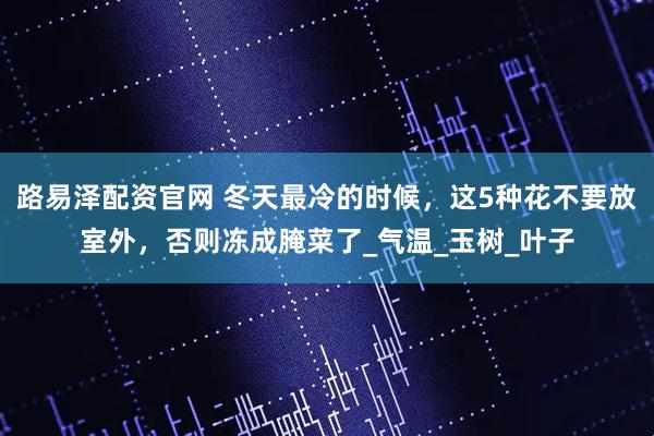 路易泽配资官网 冬天最冷的时候,这5种花不要放室外,否则冻成腌菜了_气温_玉树_叶子